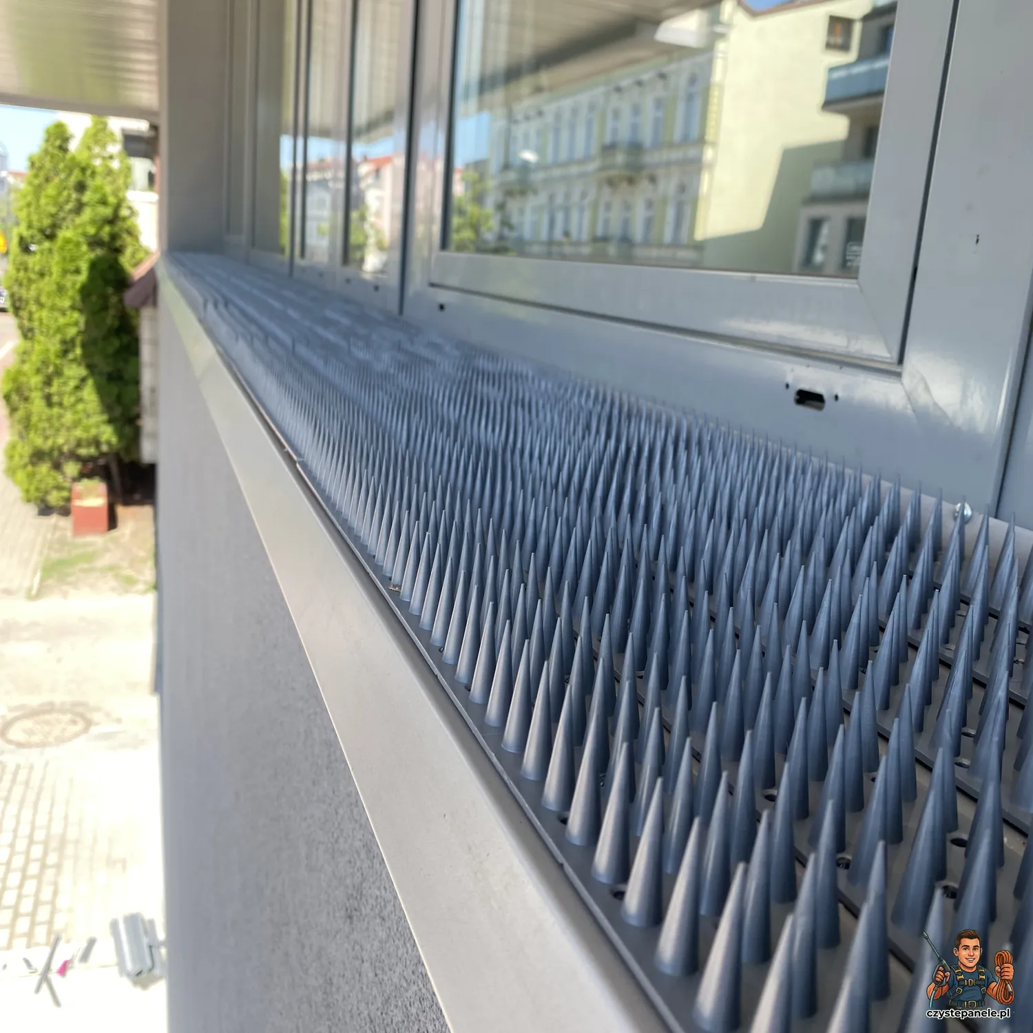Realizacja Montaż zabezpieczeń przed ptakami – Płock